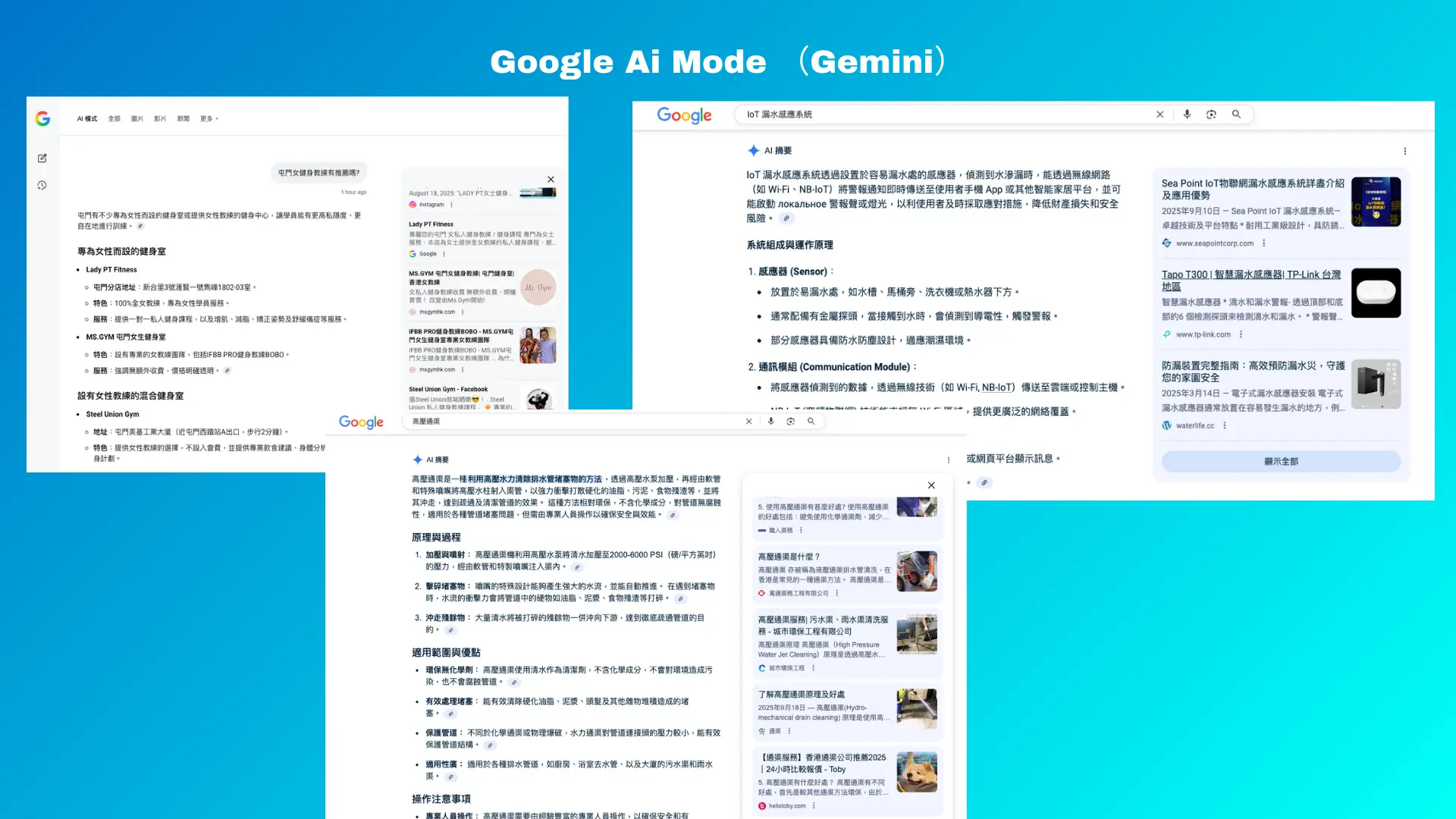 Google AI Mode Gemini推薦One Marketing Solutions客戶的截圖：展示品牌在Google AI Overview中被引用